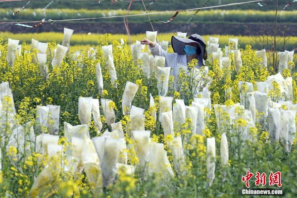 地城之主中文破解版下载